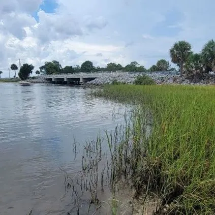 thumbnail for publication: Steps to Connecting Floridians to Living Shorelines